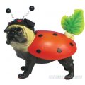 Pugnacious Mopsho...