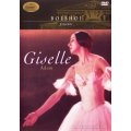 Giselle Adam DVD