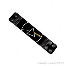 Pink Floyd Polsband