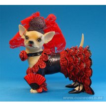 Aye Chihuahua Chi Chi Chihuahua Hond Beeld