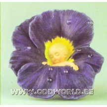 Dew Drop Babies Viola Flower Baby Fairy