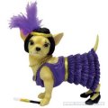 Aye Chihuahua Flapper Charleston Hond Beeld