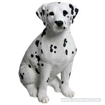 Dalmatier hond groot beeld