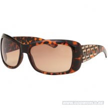 Sunglasses Zonnebril