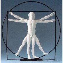 Leonardo Da Vinci The Vitruvian Man Beeld