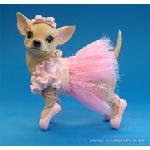 Aye Chihuahua Ballerina Hond Beeld