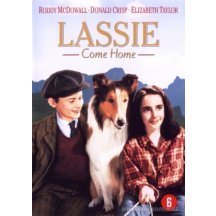 Lassie come home DVD