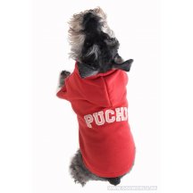Hond Rode Sweater Met Kap
