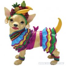 Aye Chihuahua Chi Chi Miranda Hond Beeld