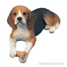 Beagle Pup Hond Levensgroot Beeld