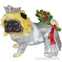 Pugnacious Miss Pug America Mopshond Beeld