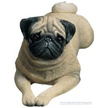Mopshond Hond Levensgroot Beeld