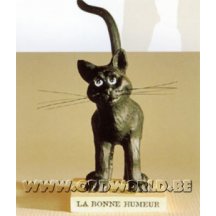 Zwarte Kat Le Chat Domestique Goed Gehumeurd Beeld